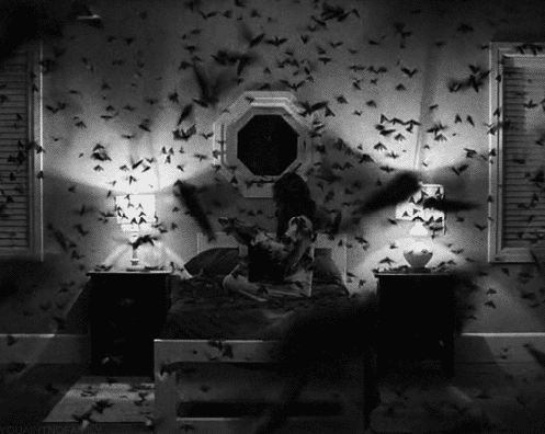 tumblr_mw3xd5zn421s0tuk6o1_500